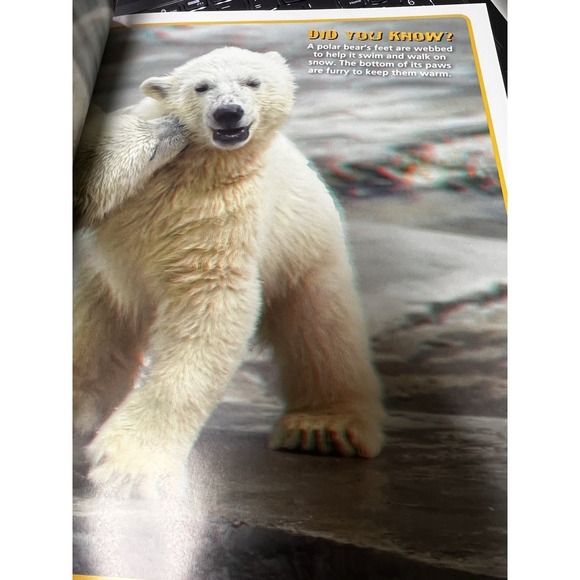 027-004 *B3G1 NEW Worlds Cutest Baby Animals‎ in 3D Perfect Paperback Kids Book - Picture 5 of 6